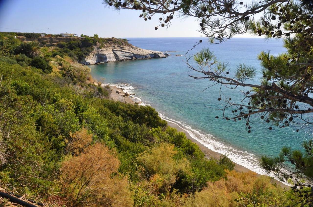 Villa Kalliopi コウトソウナリ エクステリア 写真
