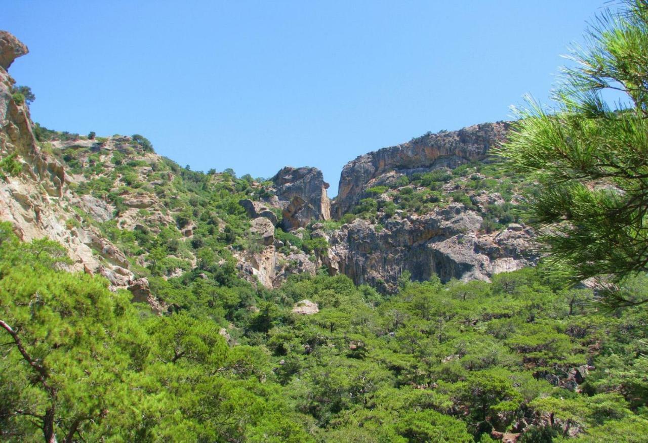 Villa Kalliopi コウトソウナリ エクステリア 写真